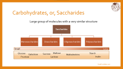 Carbohydrates overview schematic