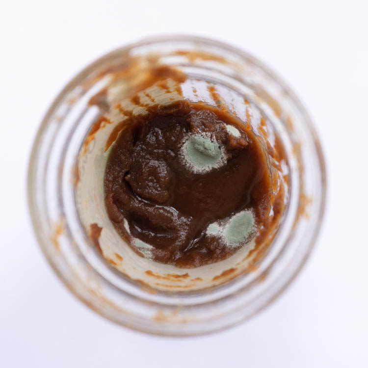 mold on apple butter