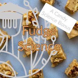 logo fudge science class